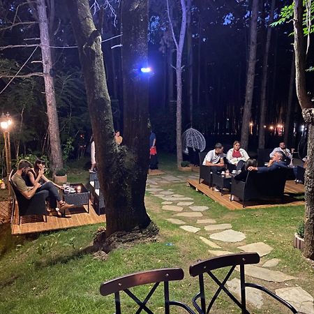 Hotel Gloria Ks Priştine Dış mekan fotoğraf