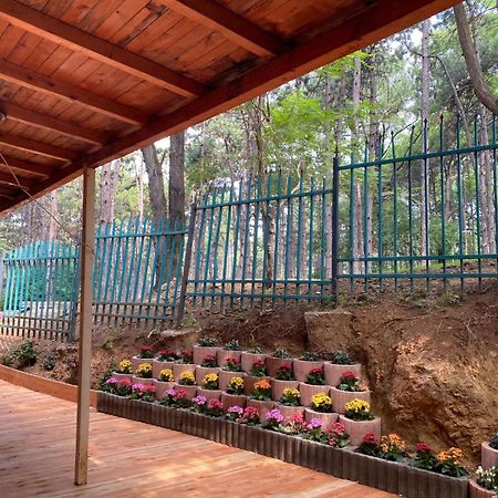 Hotel Gloria Ks Priştine Dış mekan fotoğraf
